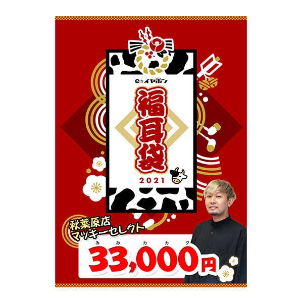 秋葉原店マッキー セレクト S社初ハイブリットイヤホン&プロが認めたサウンドTWS袋