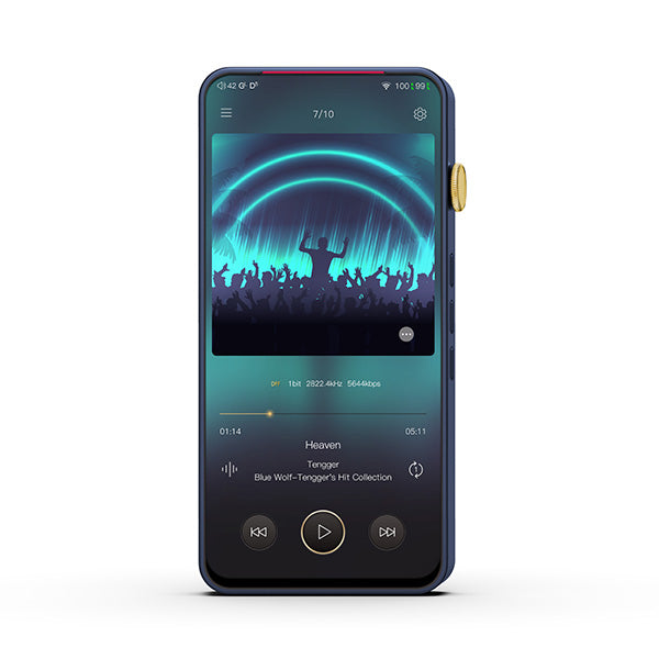 DX300