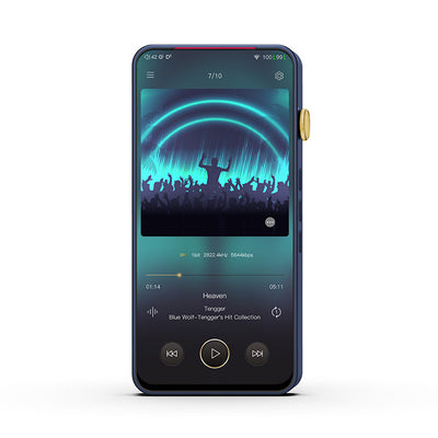DX300