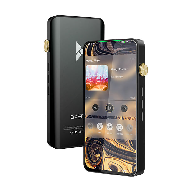 DX300