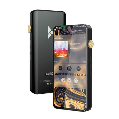 DX300