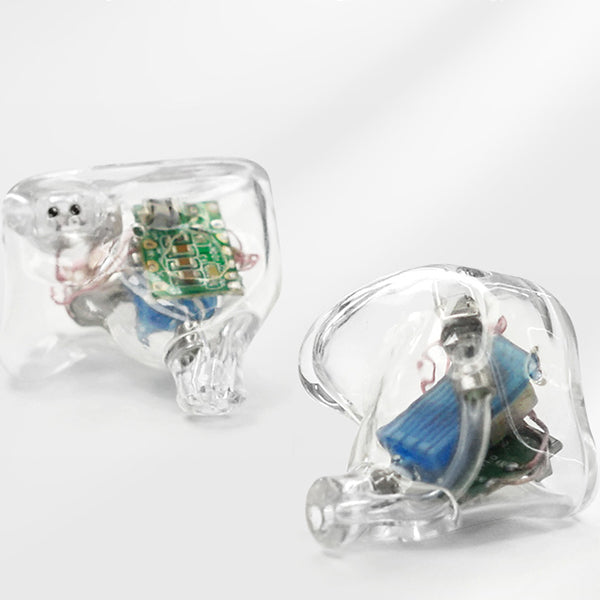 ヘッドフォン　Reecho カナル型イヤホン insects awaken [insects awaken] Amazon.co.jp: Reecho insects awaken イヤホン 有線 カナル型