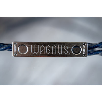 WAGNUS. Zillion Sheep NU-1(SPECTACULAR EDITION) 2.5mm4極 UE IPX type