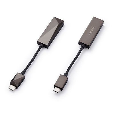 PEE51 AK USB-C Dual DAC Amplifier Cable 【PEE51-USBC-AMPCABLE】