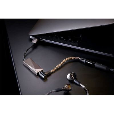 PEE51 AK USB-C Dual DAC Amplifier Cable 【PEE51-USBC-AMPCABLE】