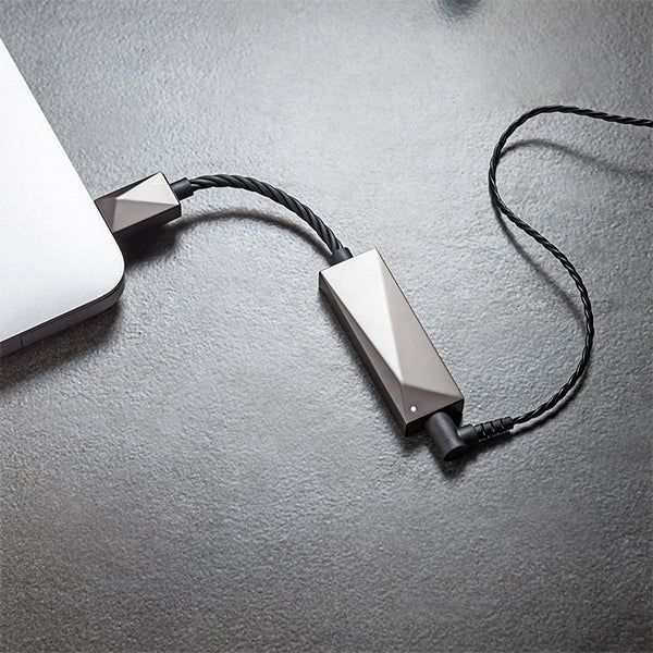 PEE51 AK USB-C Dual DAC Amplifier Cable 【PEE51-USBC-AMPCABLE】