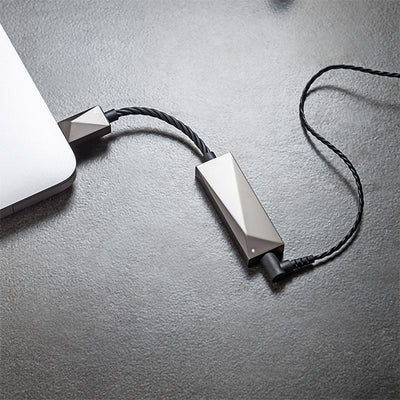 PEE51 AK USB-C Dual DAC Amplifier Cable 【PEE51-USBC-AMPCABLE】