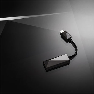 PEE51 AK USB-C Dual DAC Amplifier Cable 【PEE51-USBC-AMPCABLE】