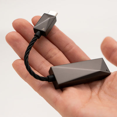 PEE51 AK USB-C Dual DAC Amplifier Cable 【PEE51-USBC-AMPCABLE】