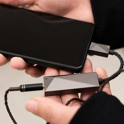 PEE51 AK USB-C Dual DAC Amplifier Cable 【PEE51-USBC-AMPCABLE】