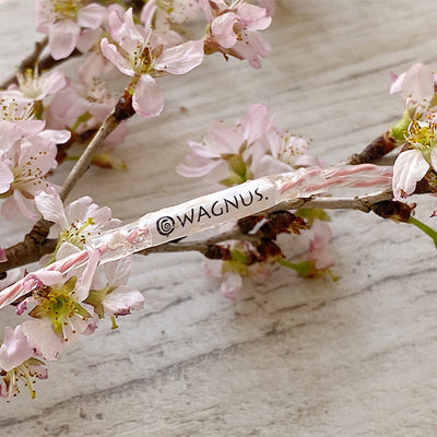 Sakura Lily 3.5mm3極 qdc/旧UE Custom type