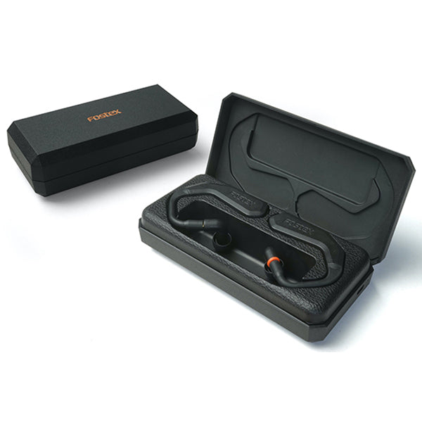 FOSTEX TM2C – e☆イヤホン