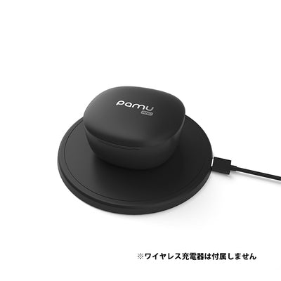 PaMu Quiet Mini