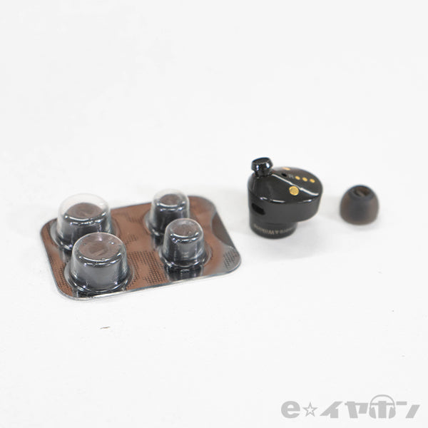 Bowers & Wilkins PI5 – e☆イヤホン