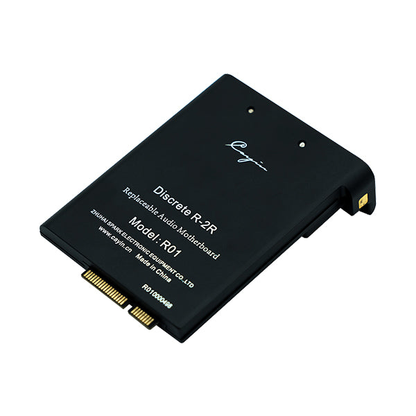 Cayin R01 オーディオマザーボード・R-2Rラダー型DAC搭載 – e☆イヤホン