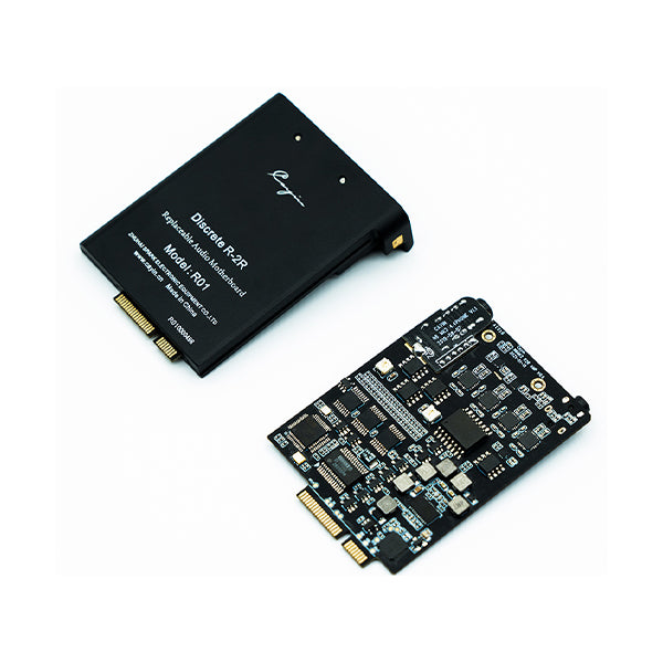 Cayin R01 オーディオマザーボード・R-2Rラダー型DAC搭載 – e☆イヤホン
