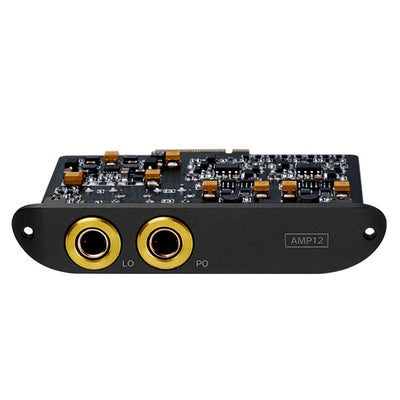 AMP12