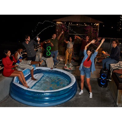 PARTYBOX 310