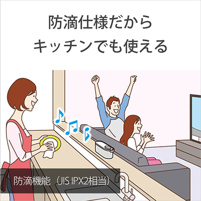 SRS-LSR200 お手元テレビスピーカー