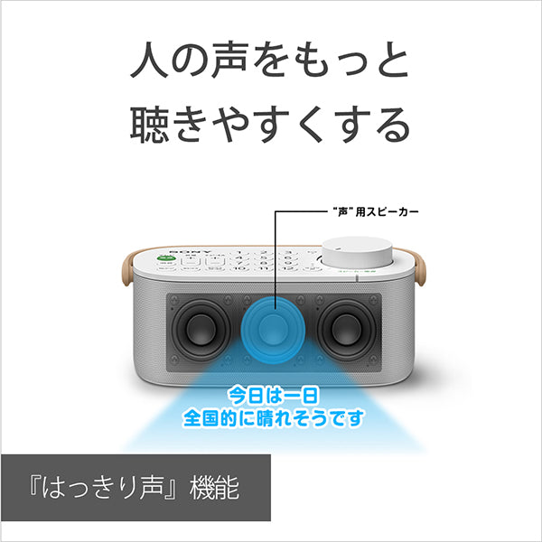 SRS-LSR200 お手元テレビスピーカー