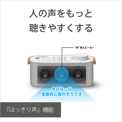SRS-LSR200 お手元テレビスピーカー