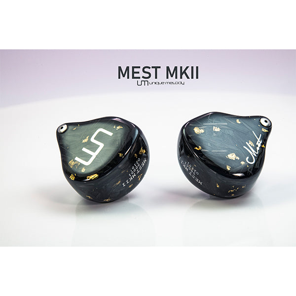MEST MKII Custom (カスタムIEM)