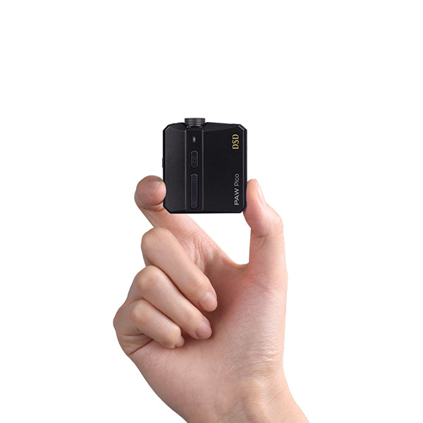 Lotoo PAW Pico USB-C,Lightning ケーブルバンドルパッケージ – e