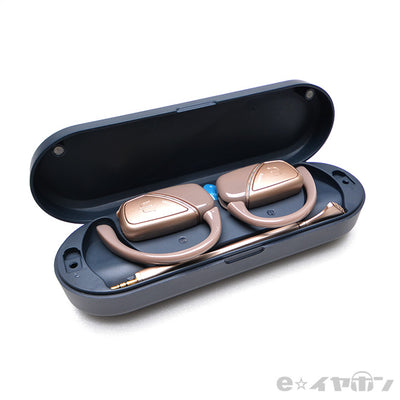 YS-M100