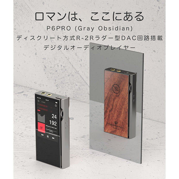 P6 PRO Gray Obsidian