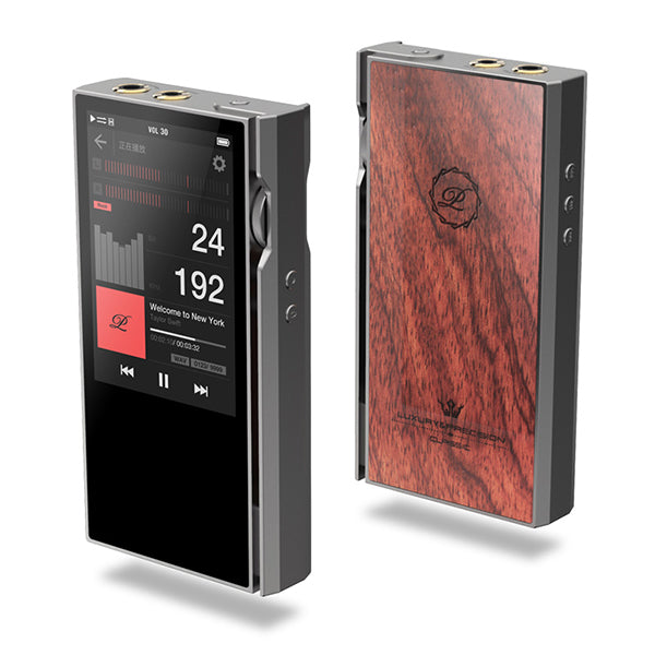 楽彼(LUXURY&PRECISION) P6 PRO Gray Obsidian – e☆イヤホン