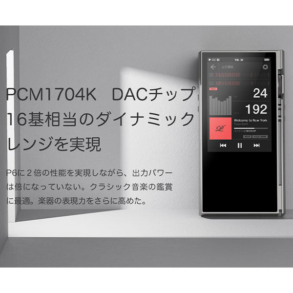 楽彼(LUXURY&PRECISION) P6 PRO Gray Obsidian – e☆イヤホン