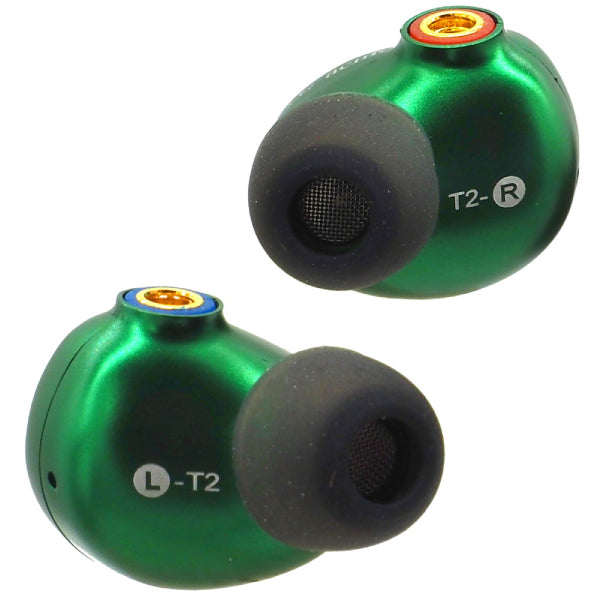 T2