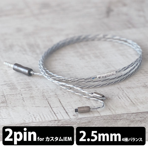 NUCLEON 2.5mm 4極 Custom 2pin type