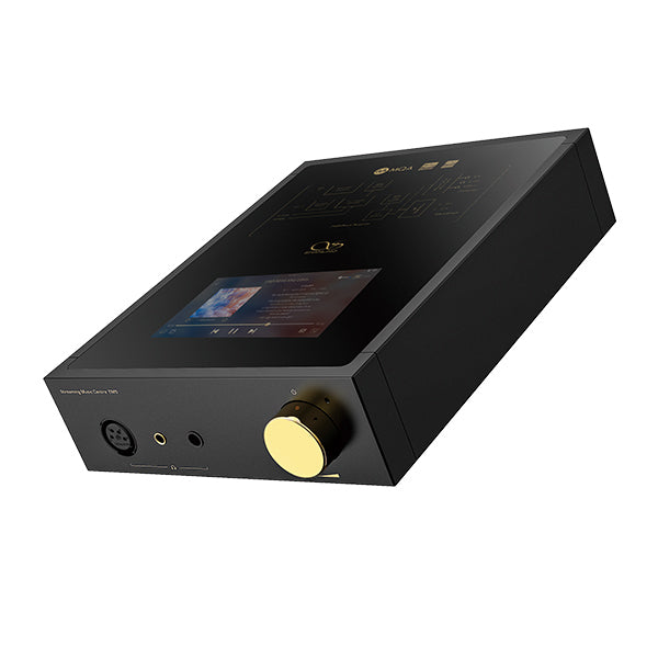 shanling EM5 保証期間内 shanling EM5 保証期間内