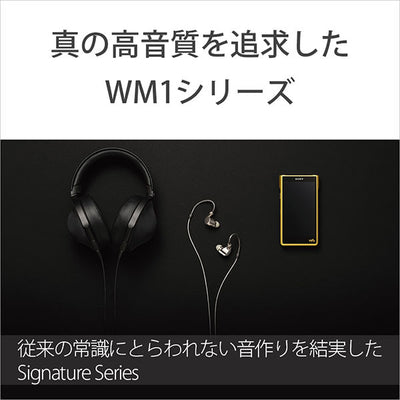 NW-WM1ZM2