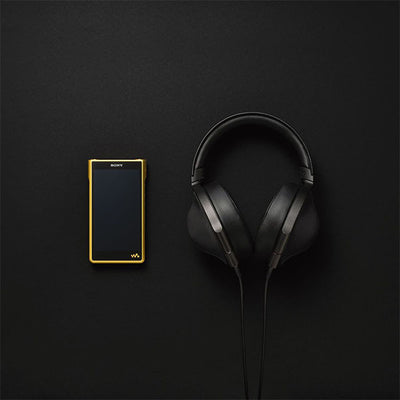 NW-WM1ZM2