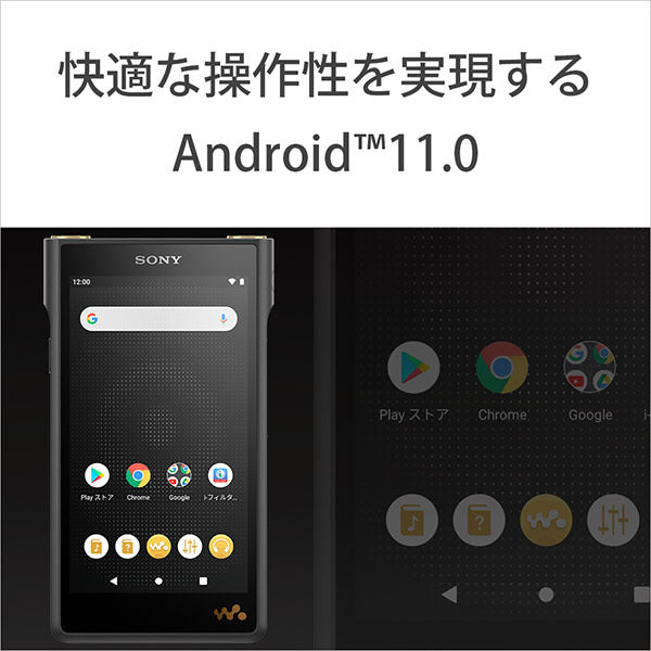 SONY NW-WM1AM2 – e☆イヤホン