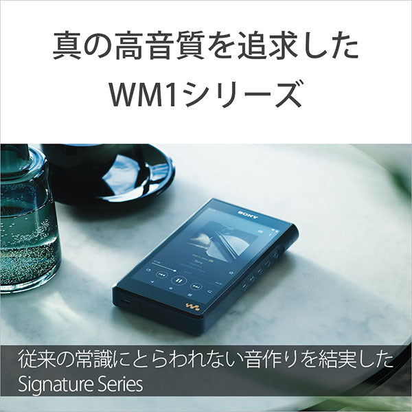 SONY NW-WM1AM2 – e☆イヤホン