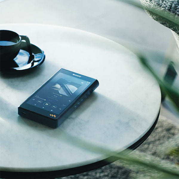 SONY NW-WM1A2 128GB イヤホン付き otamesi.jpg