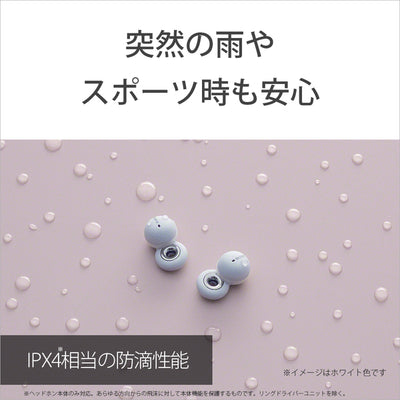LinkBuds【WF-L900】