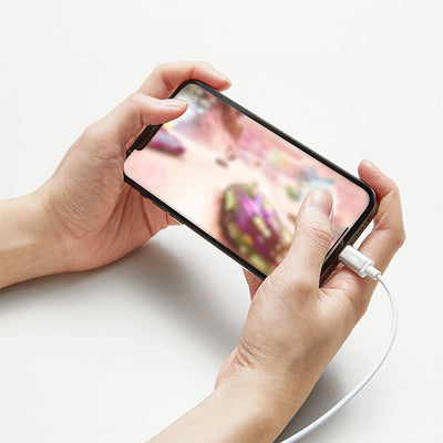 HP-NEL12P Lightning