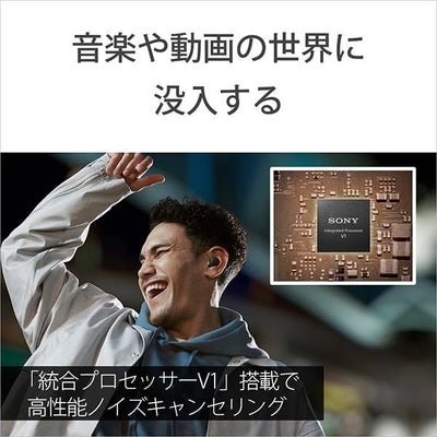 LinkBuds S【WF-LS900N】