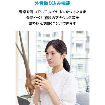 Soundcore Life P3