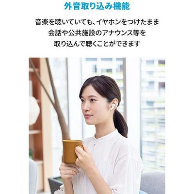 Soundcore Life P3