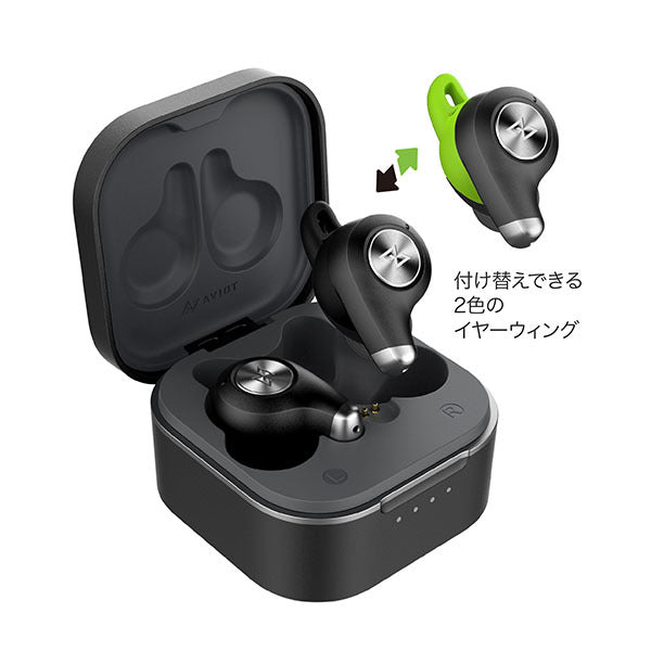 AVIOT TE-D01q2 – e☆イヤホン