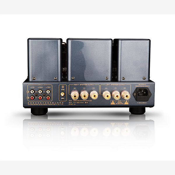 Cayin MT-35MK2 PLUS Bluetoothエディション – e☆イヤホン