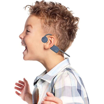 BC Wireless Lite