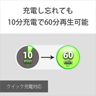 WI-C100