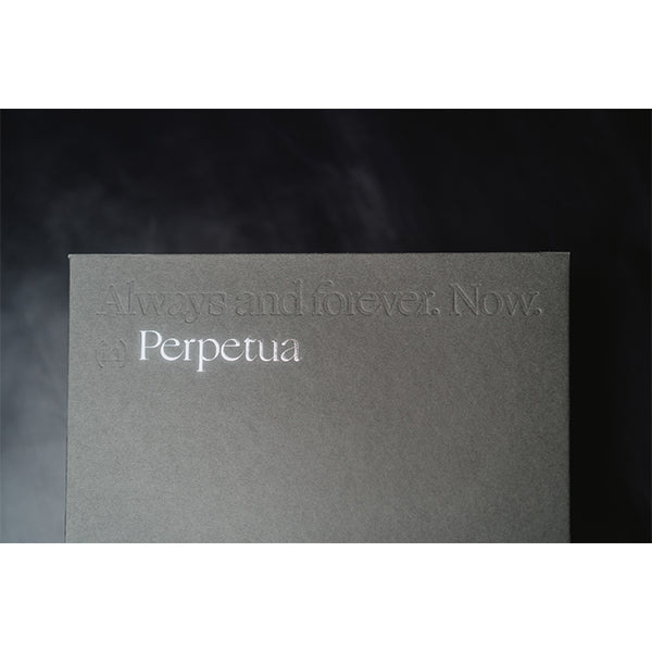 DITA Perpetua 【DITA-PERPETUA】 – e☆イヤホン