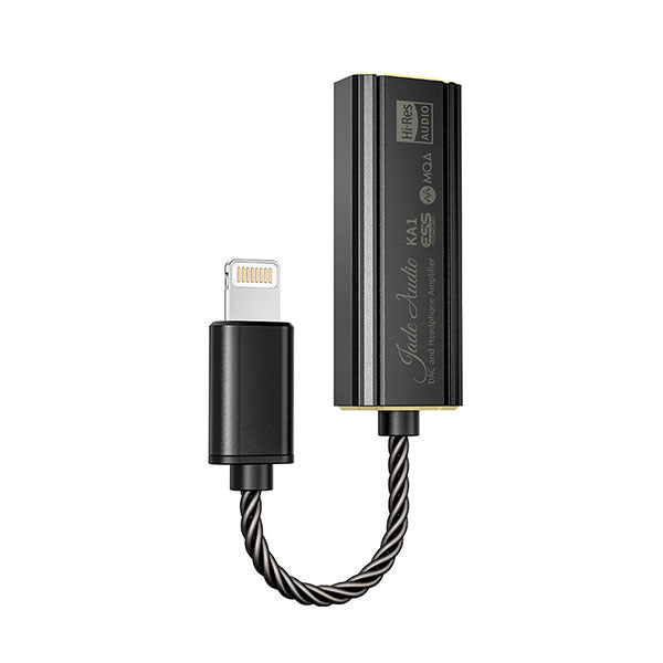 イヤホン カスタムIEM FiiO KA1 セット（eイヤ大阪情報局